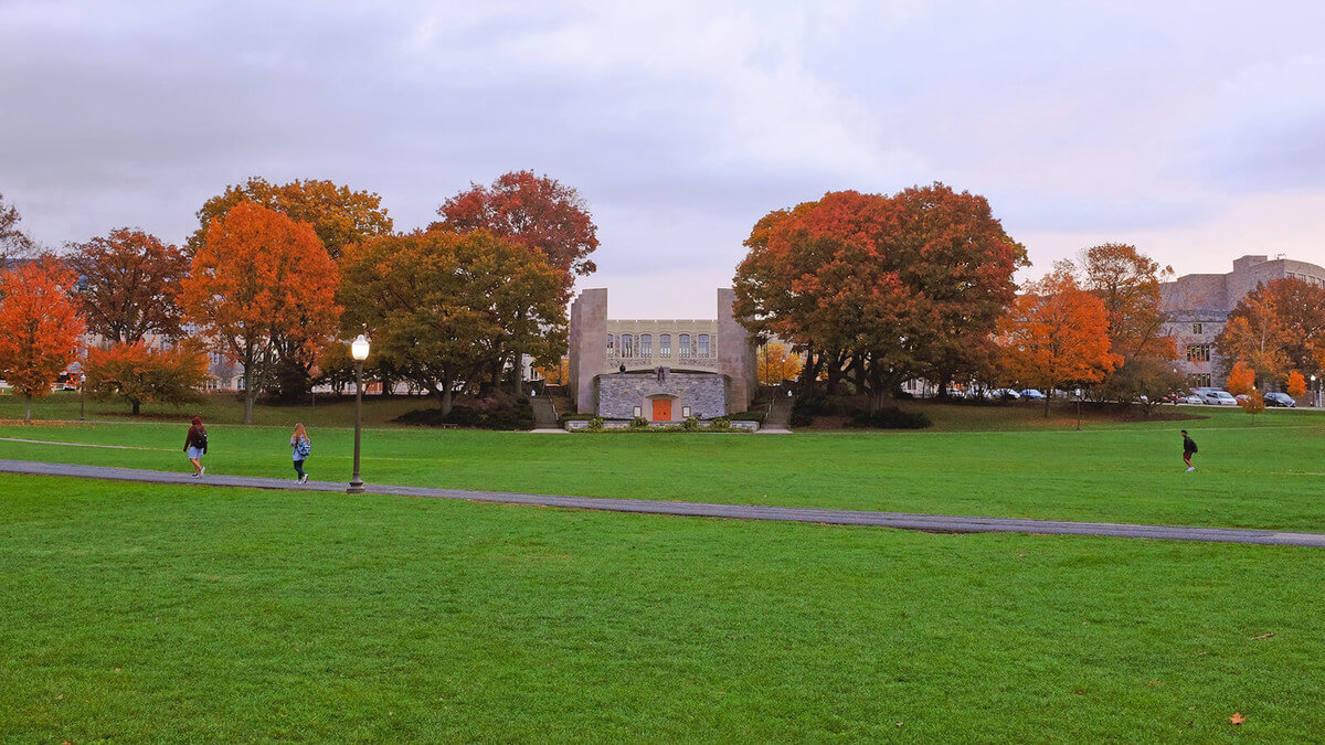 Virginia Polytechnic Institute