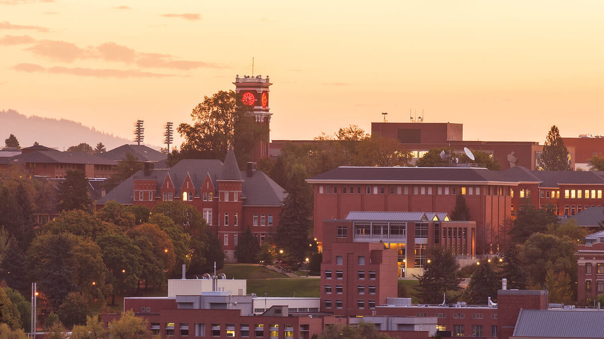 Washington State University